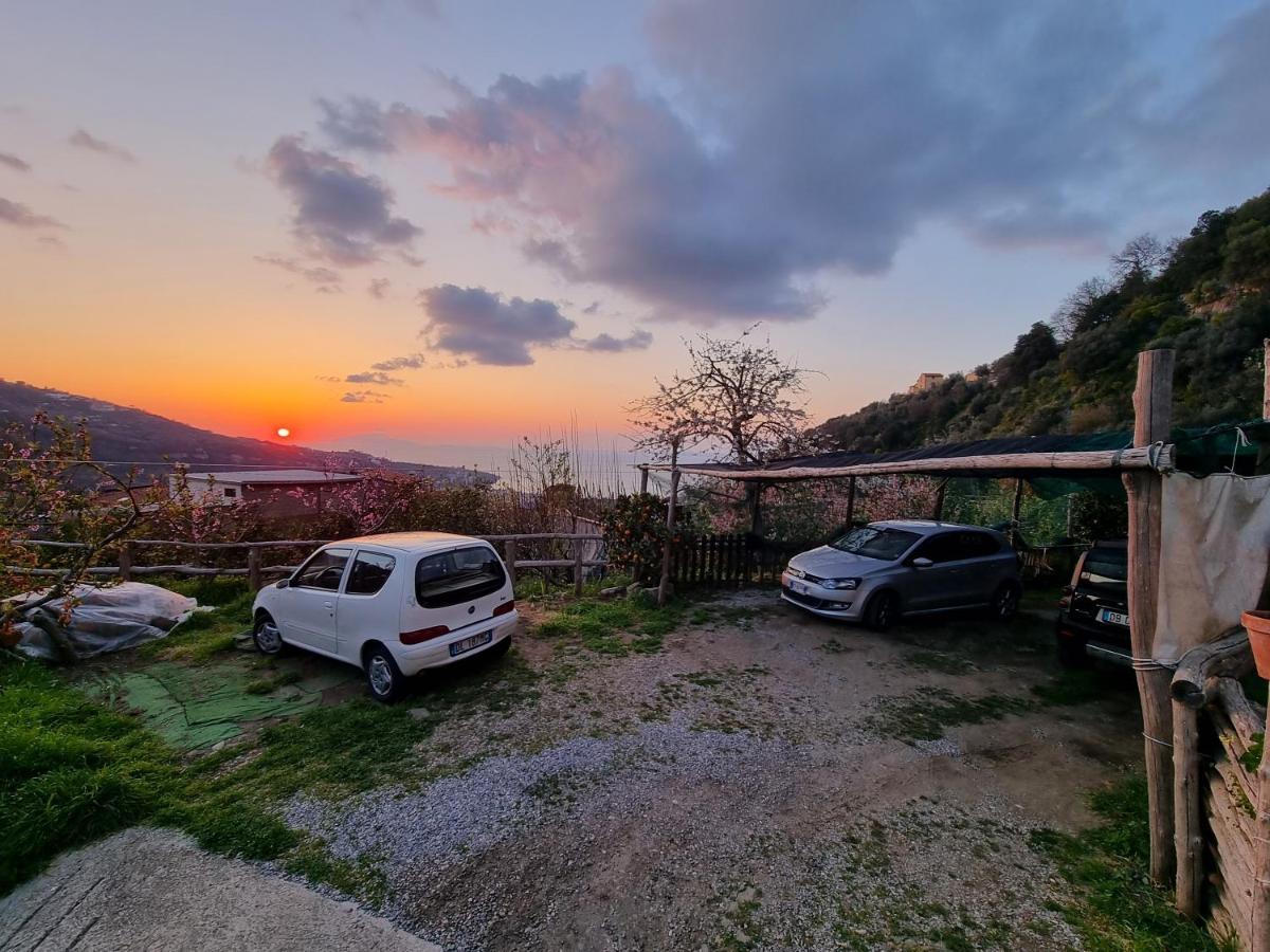 Nanninella Hh Appartement Sorrento Buitenkant foto